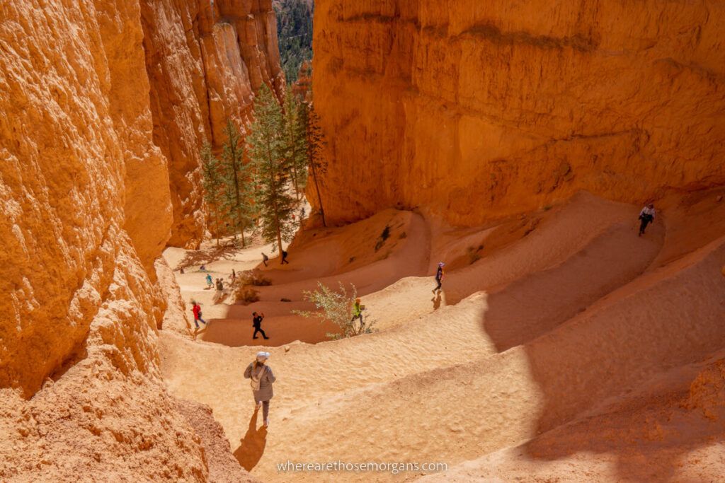 Switchbacks leading down into an orange sandstone canyon with hikers on trail