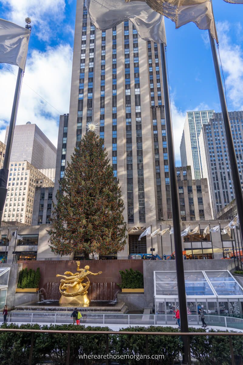 Rockefeller Christmas Tree with ice rink and top of the rock behind
