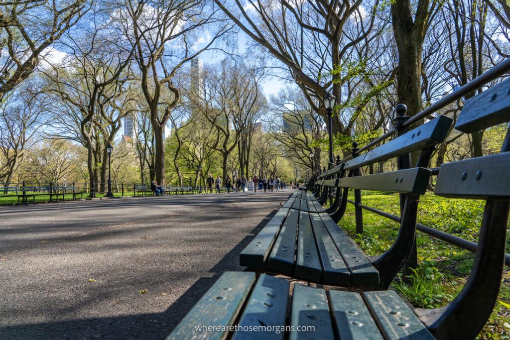 The Mall bench close up in Central Park one of the most popular places to visit in New York City