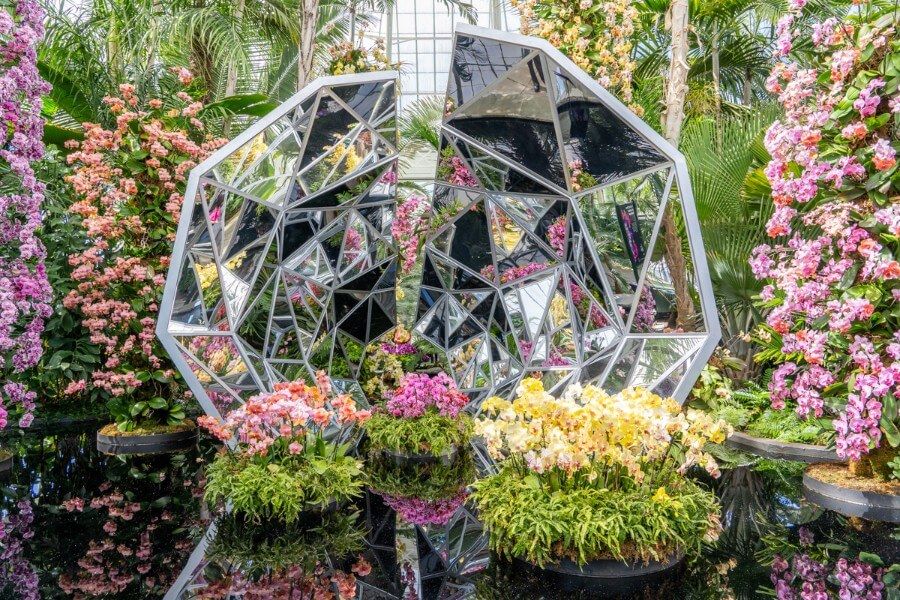 New York Botanical Gardens with flowers in bloom during spring