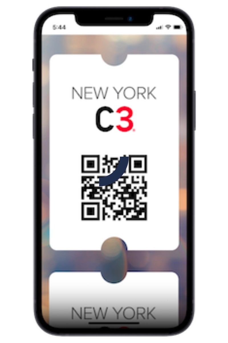 Example of the New York C3 Pass