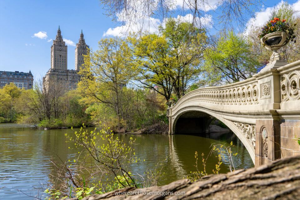 Visiting New York In April: 10 Key Things To Know About NYC