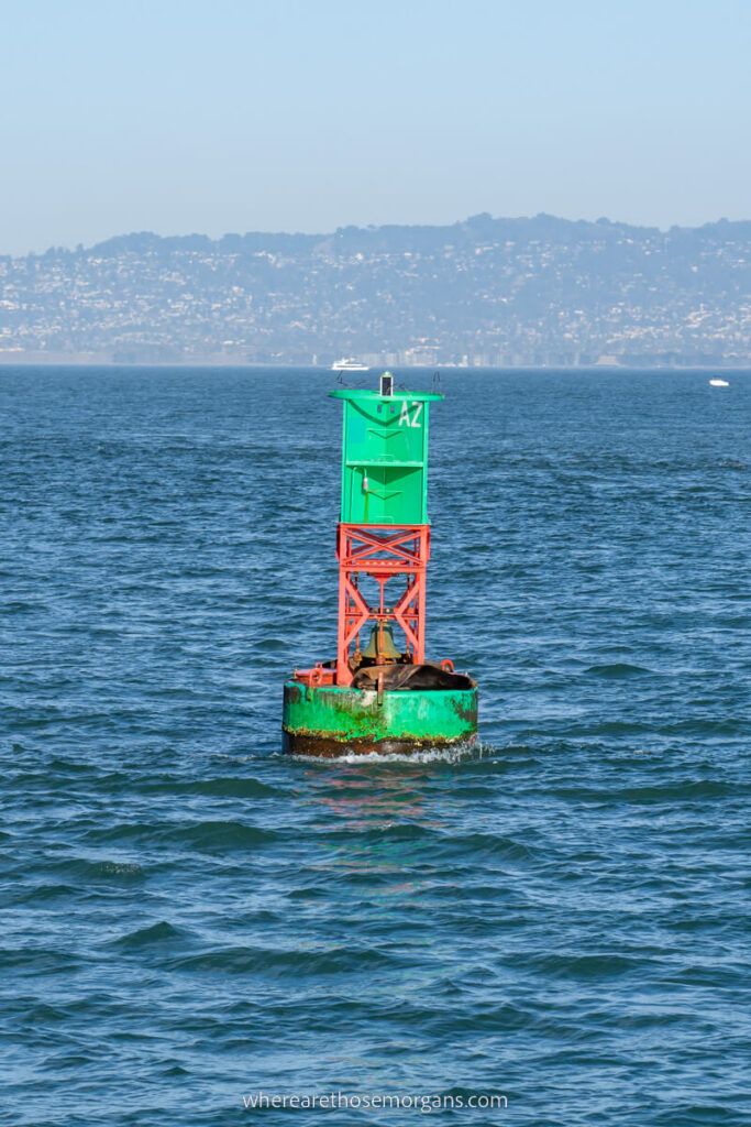 A sea lion sunning himself on a buoy in the San Francisco Bay