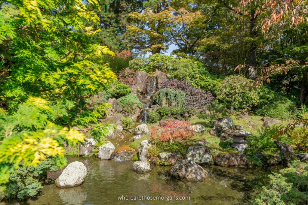 Small waterfall and pond at the San Francisco Japanese Tea Garden