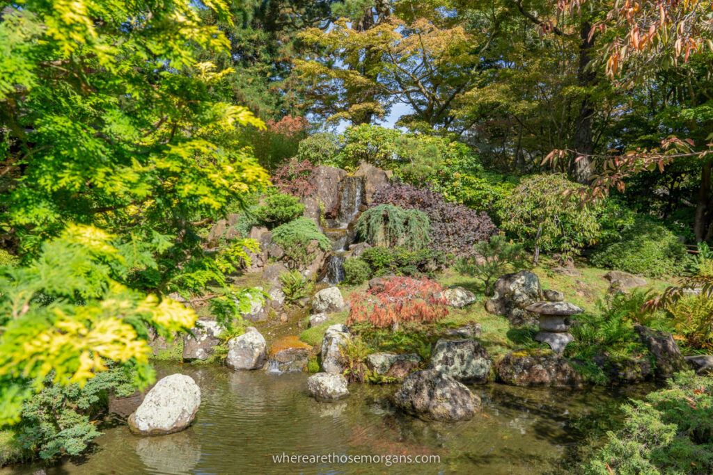 are dogs allowed at the japanese tea garden