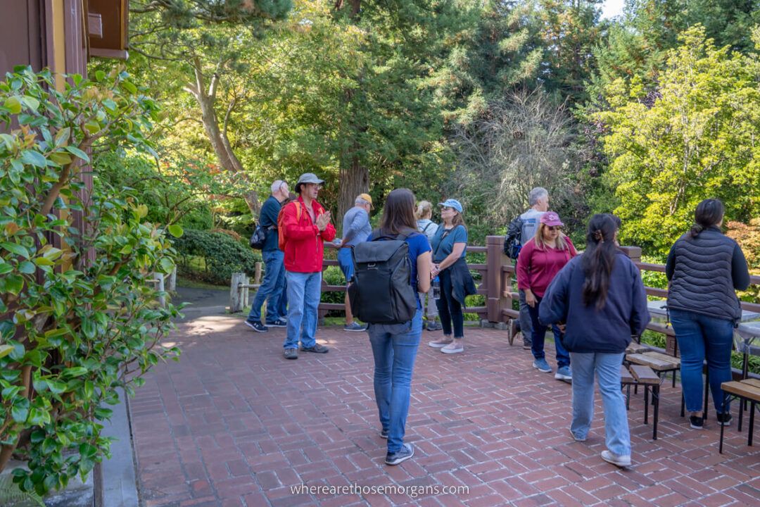 Complete Guide To The Japanese Tea Garden In San Francisco