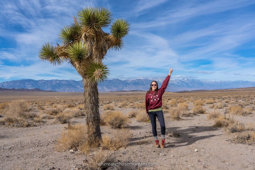 Woman stood next to Joshua Tree pointing to the sky with light layers on after packing for winter in Death Valley