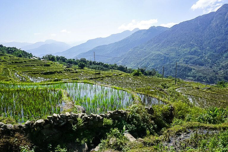 Beautiful view of waterlogged rice terraces in Sapa Vietnam