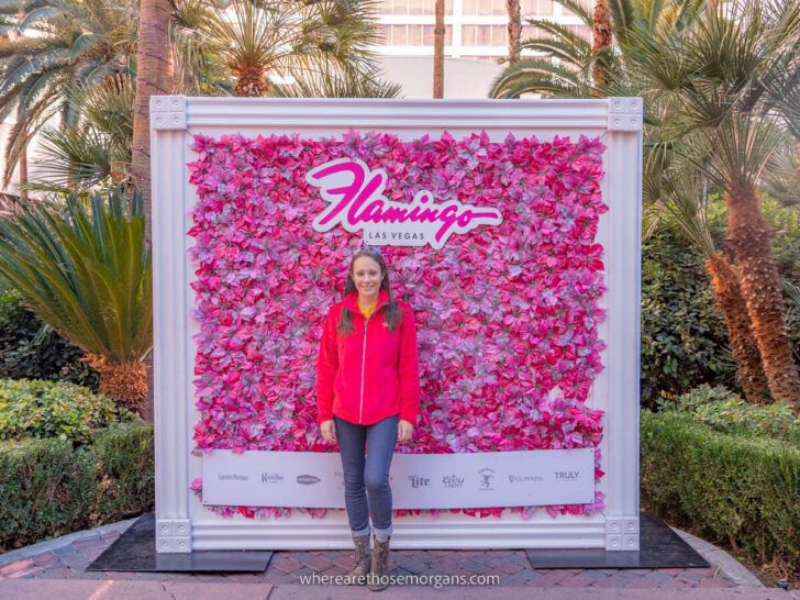 Tourist visiting Las Vegas in November standing in front of a board with pink feathers and the word Flamingo in italics and trees behind on a cool day with clear weather