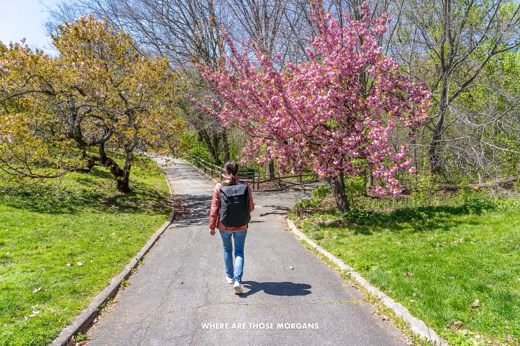 Kristen from Where Are Those Morgans walking down a path through trees in the spring