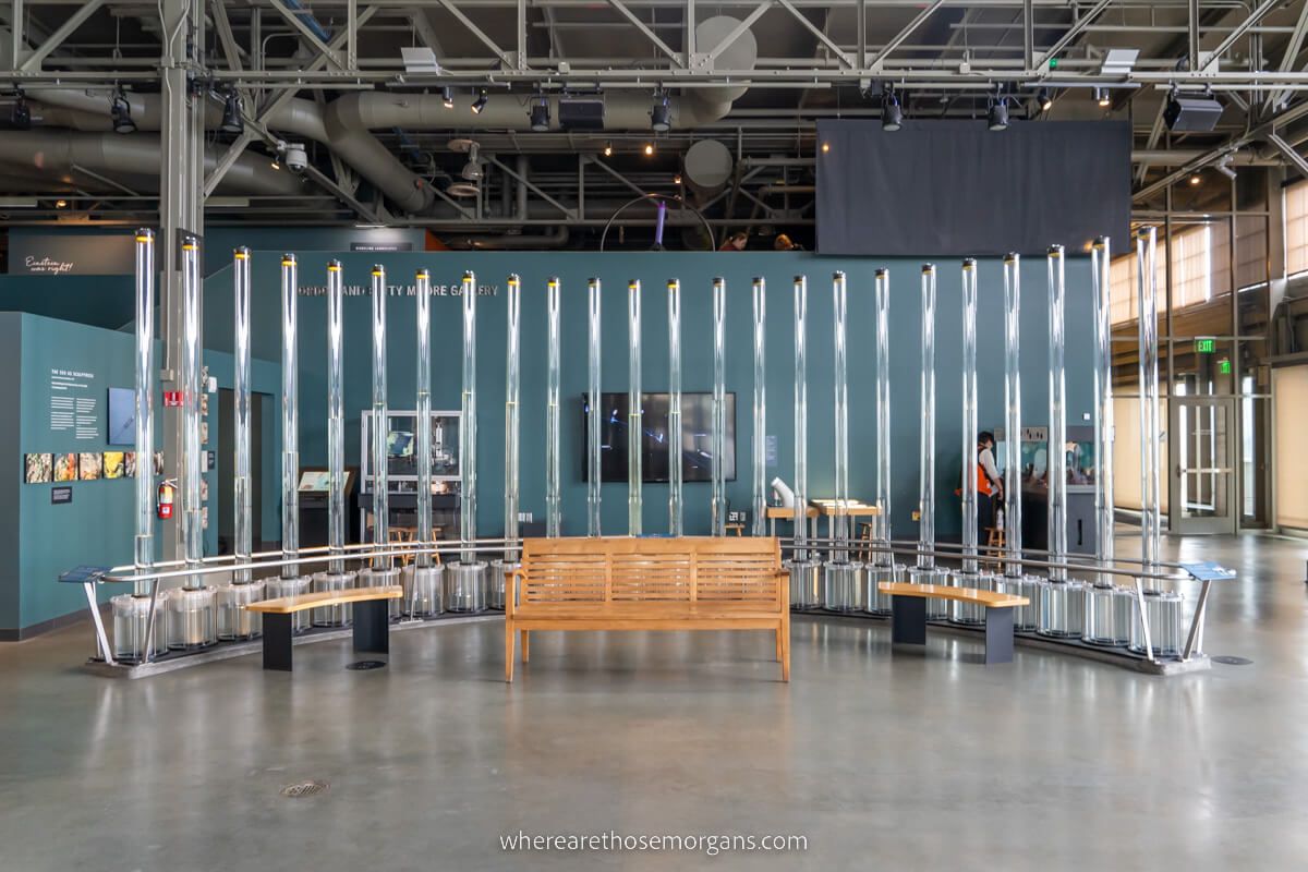 Large air tubes demonstrating wind