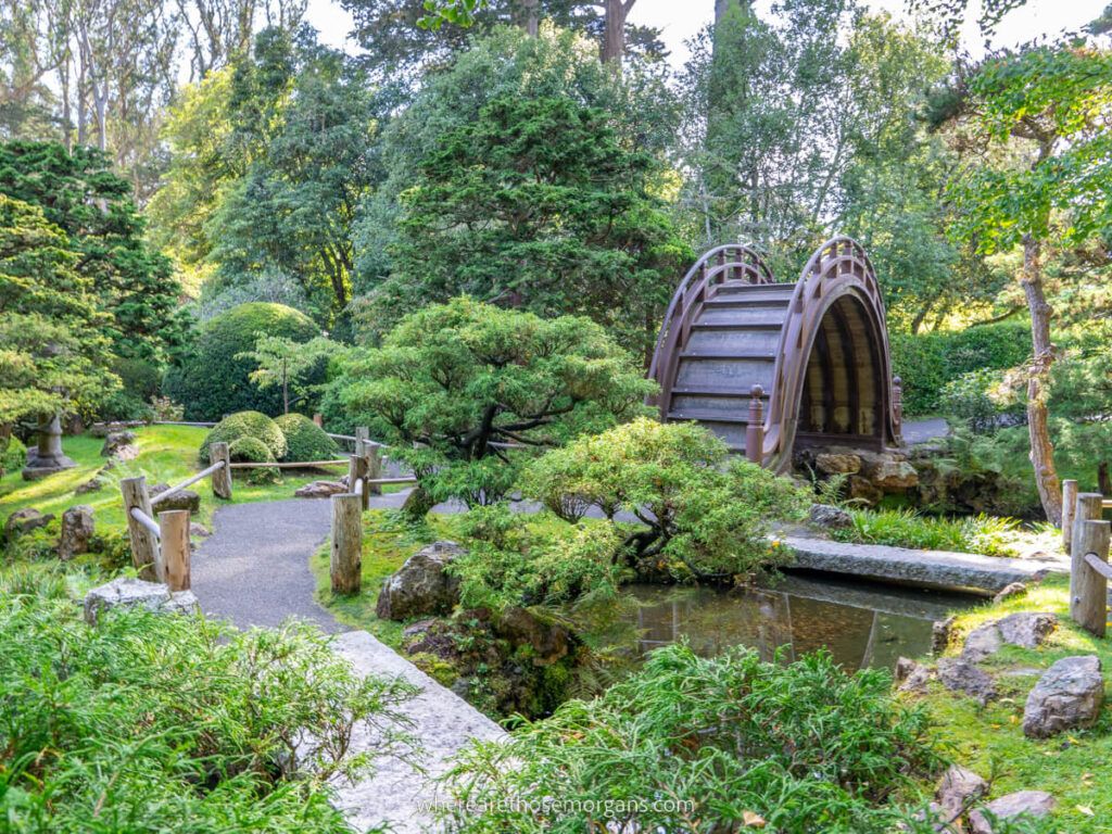 Lush green vegetation in San Francisco Japanese Tea Garden with wooden bridge and stone path leading through ponds one of the best things for couples to do in San Francisco