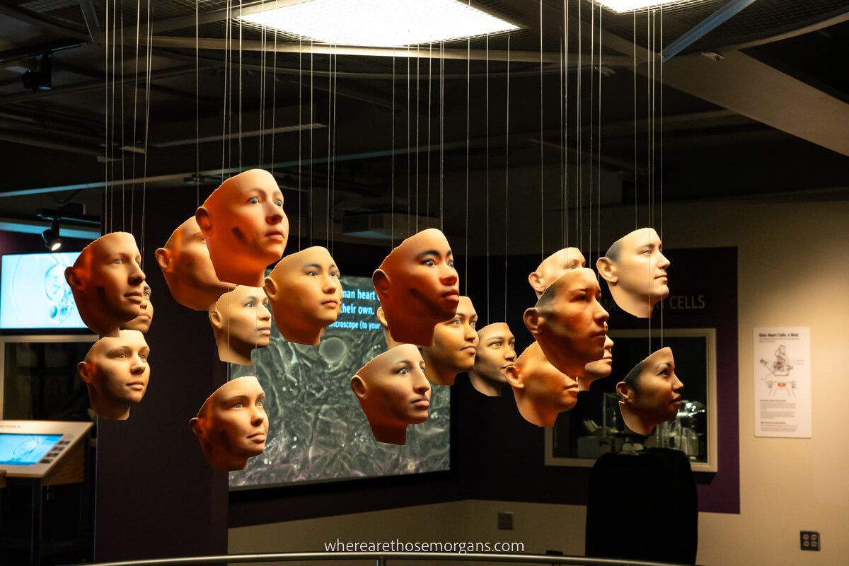 Thoughtful exhibit featuring many faces hanging from strings