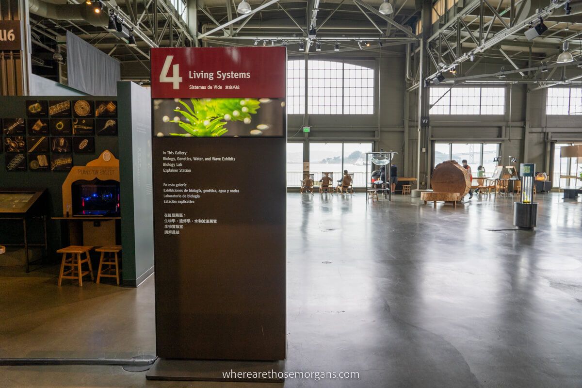 Living Systems gallery in the San Francisco Exploratorium
