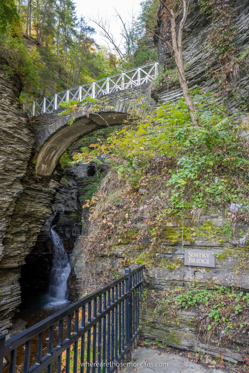 Sentry Bridge at the beginning of the Watkins Glen State Park Gorge Trail in western ny