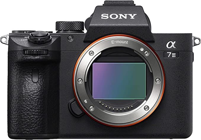 Sony a7III is the perfect gift for a photographer