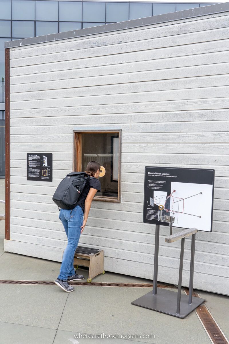 Woman looking at Exploratorium exhibit