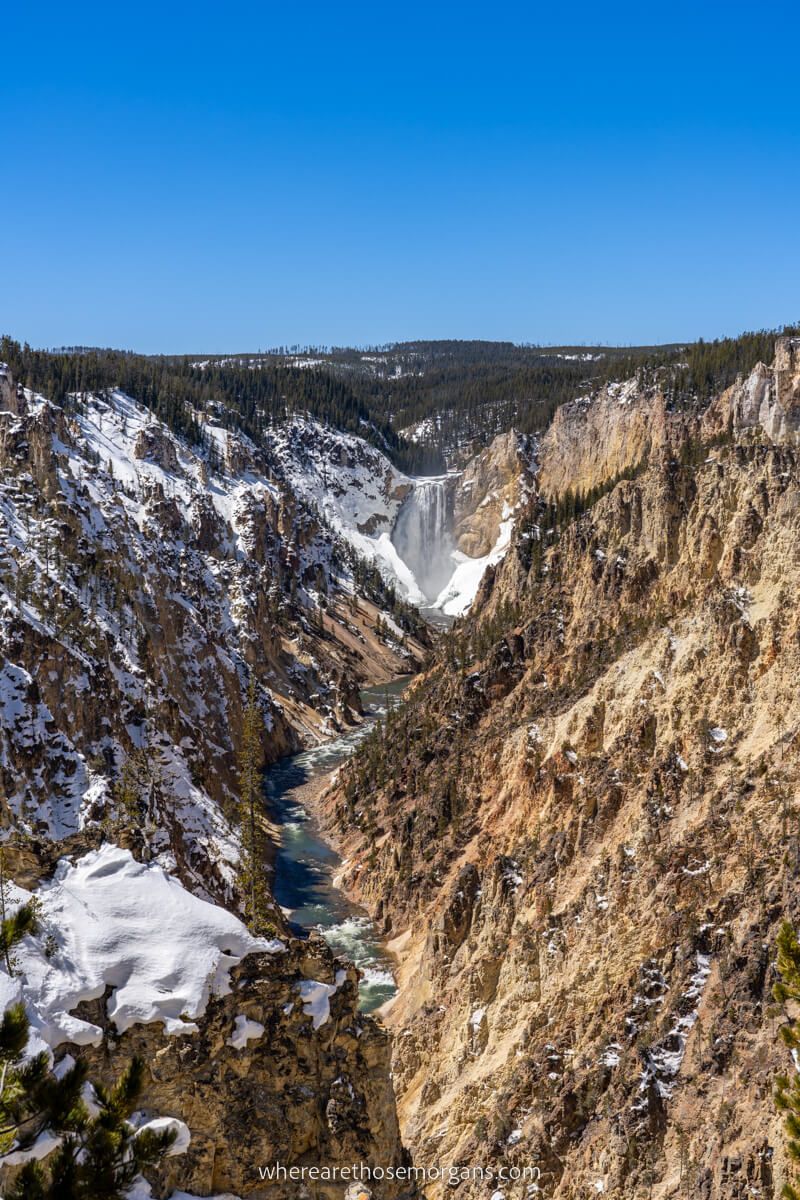 Down canyon photo of Yellowstone Lower Falls with snow in gorge