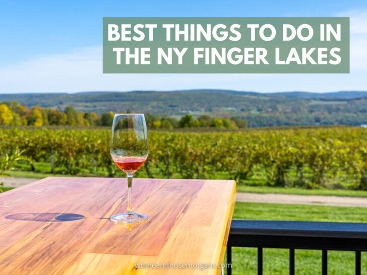 Where Are Those Morgans Best Places To Visit In The Finger Lakes