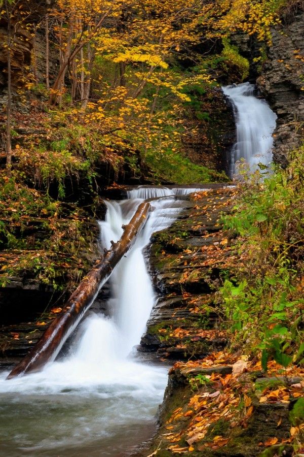 Deckertown Falls in the fall season