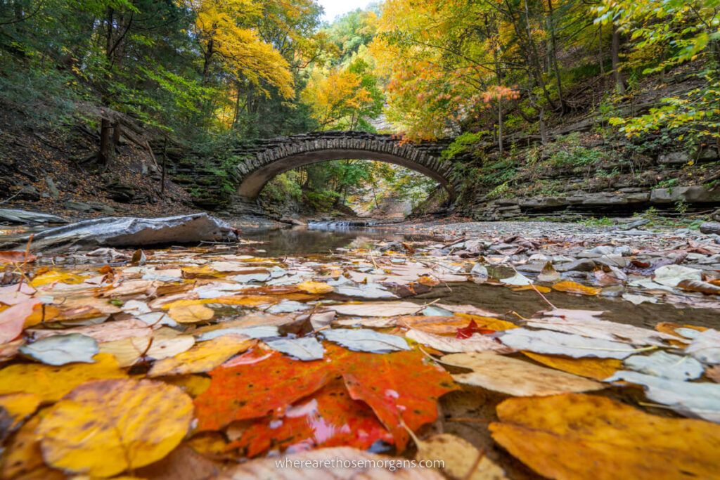 Fall foliage in the New York finger lakes region