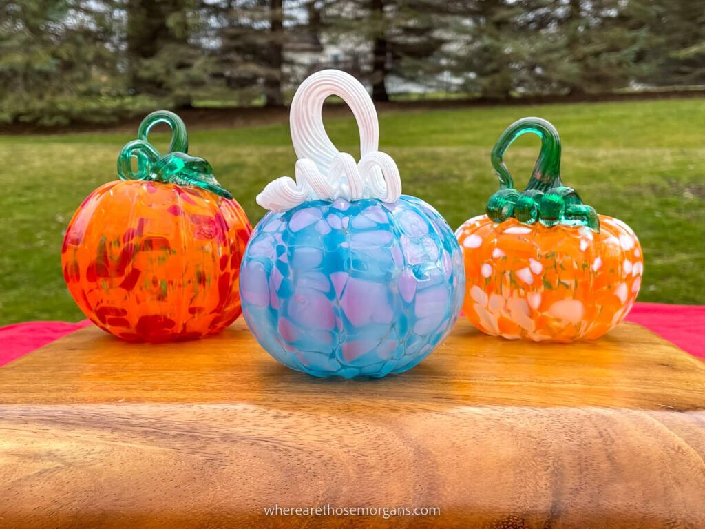 Colorful pumpkins from the Corning Museum of Glass