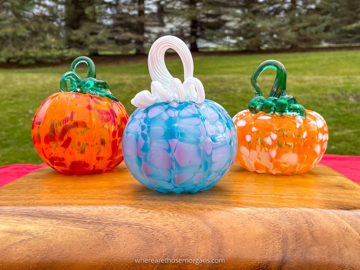 Colorful pumpkins from the Corning Museum of Glass