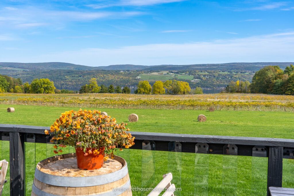Views looking out over the Seneca Lake Valley from a winery