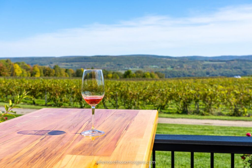 A wine glass with views of the rolling hills in upstate New York