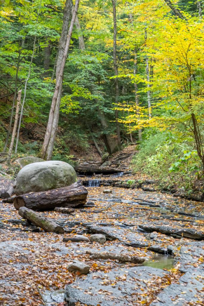 Shale creek with large logs and boulders during the fall season
