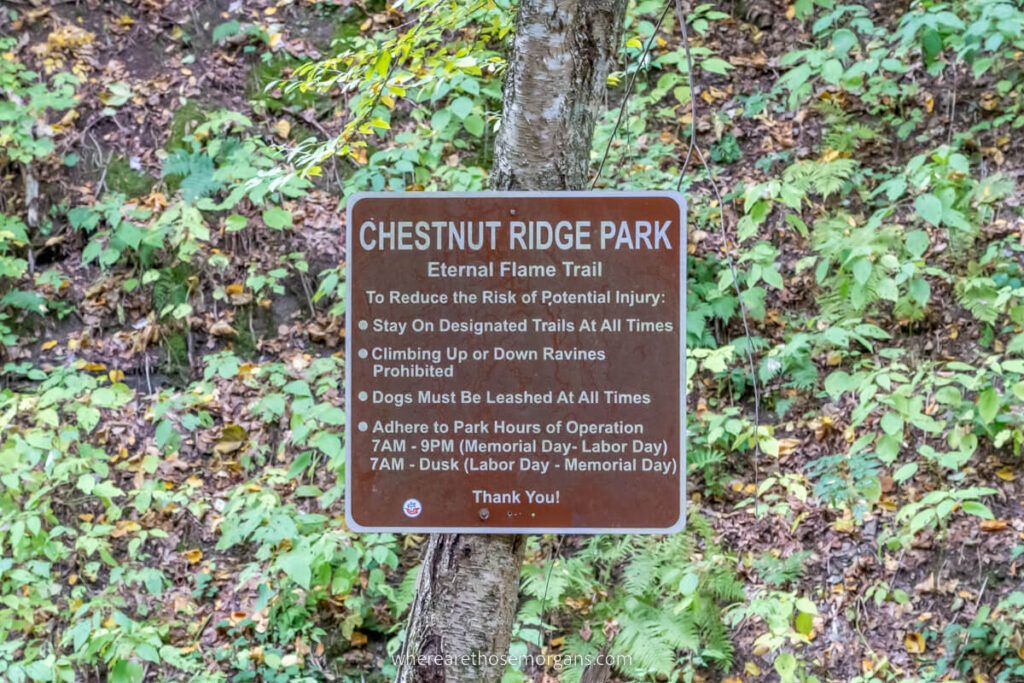 Chestnut Ridge State Park Eternal Flame Trail sign