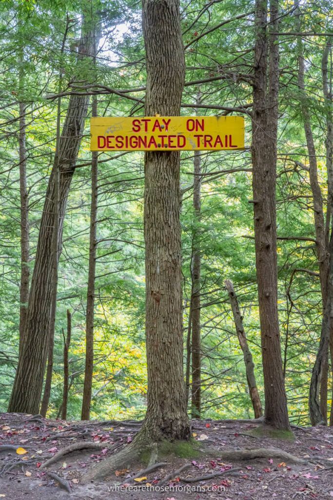 Yellow sign marking trail in Chestnut Ridge State Park