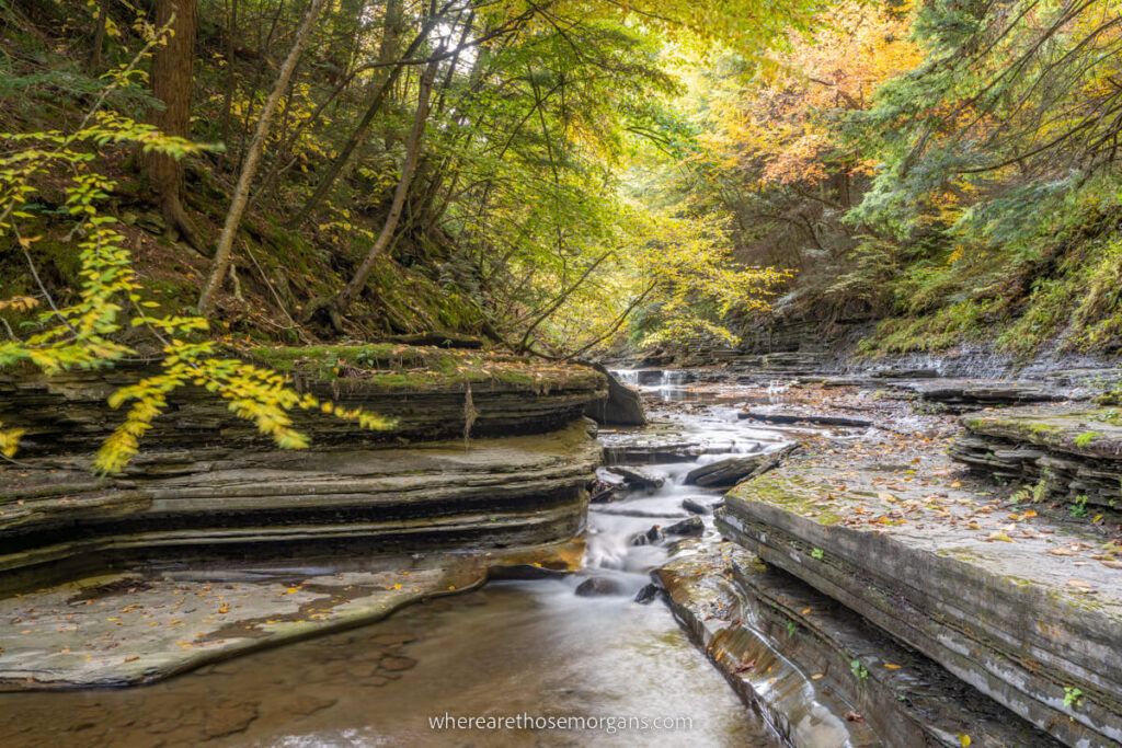Empty Stony Brook creek in the fall