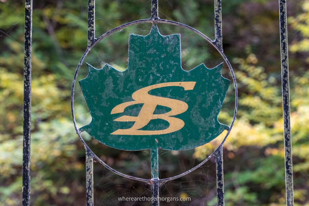 Green leaf sign at Stony Brook