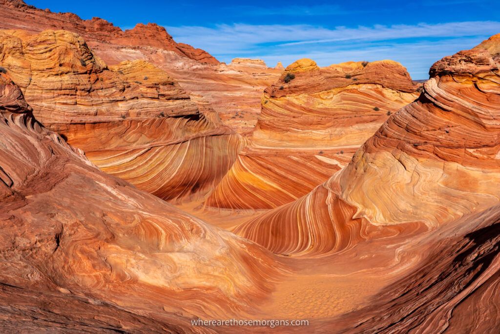 The stunning wave topography in the state of Arizona