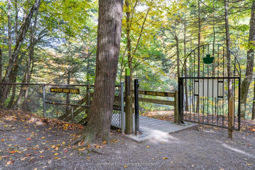 Beginning of the West Rim and Gorge Trail from the South entrance at Stony Brook State Park