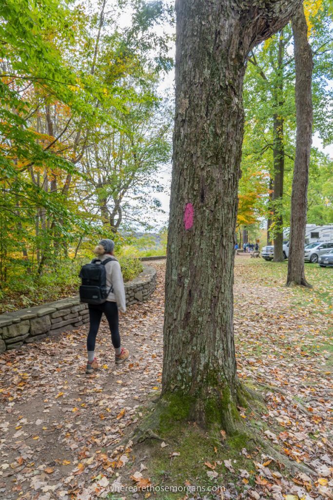 Woman hiking a trail in upstate New York during Fall