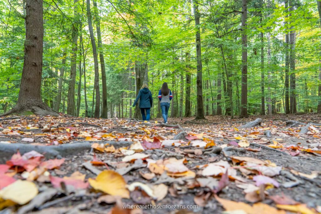 Two women walking through a shaded portion of a trail in upstate NY