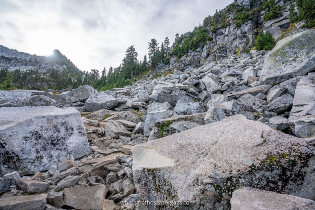 Rocky boulder field on a steep scree slope