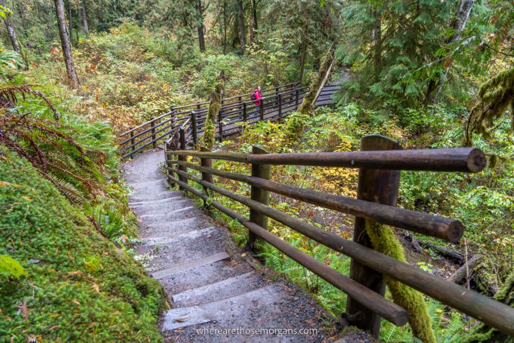 Forest hiking trail leading down steps to a bridge crossing a river