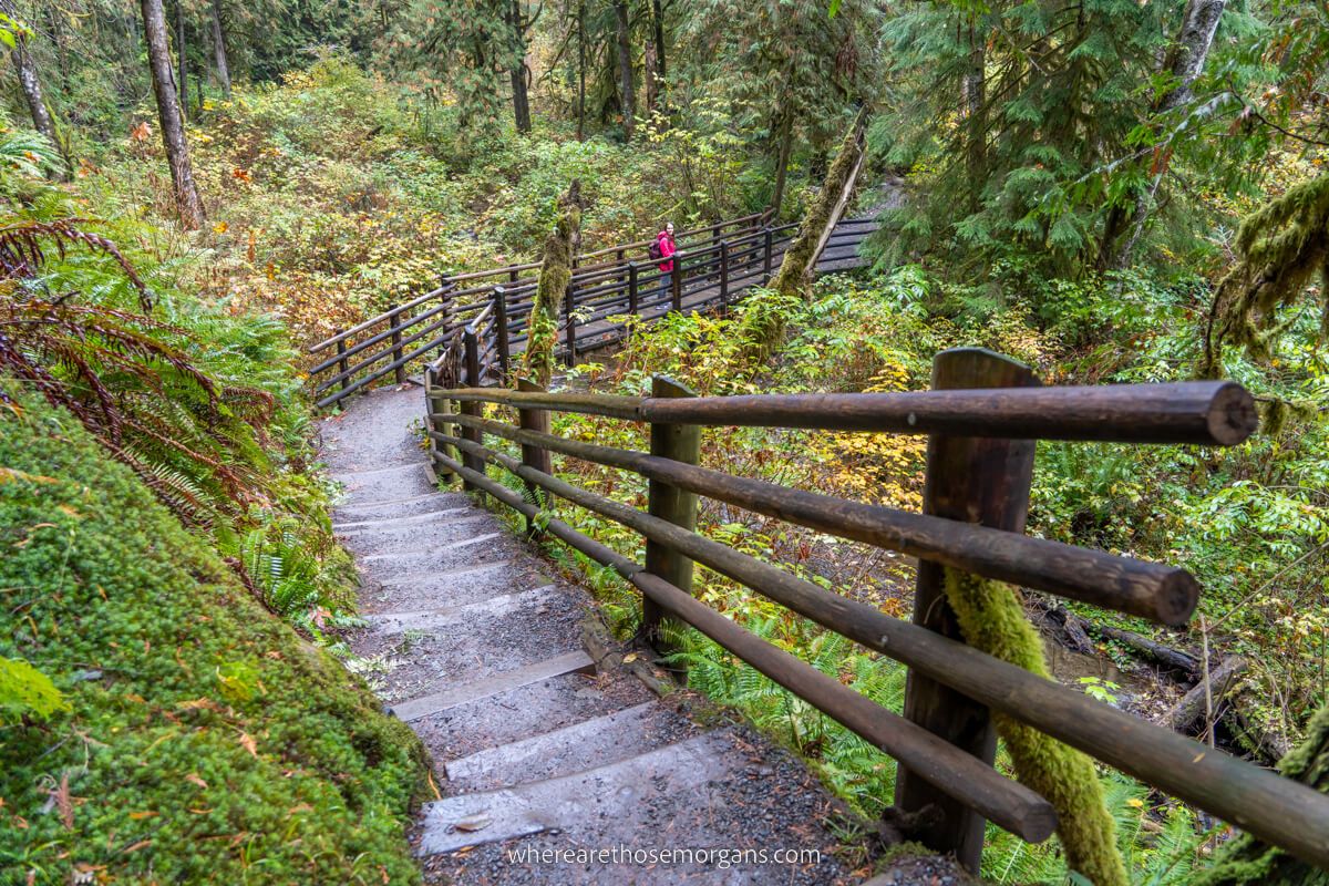 Forest hiking trail leading down steps to a bridge crossing a river