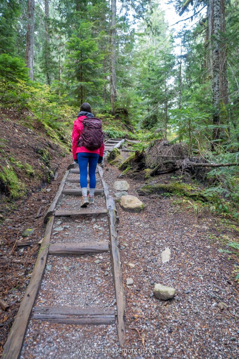 Hiker climbing wooden steps in a forest leading to trees