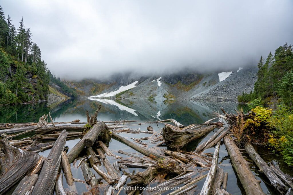 Logs floating in the edges of Lake Serene in Washington