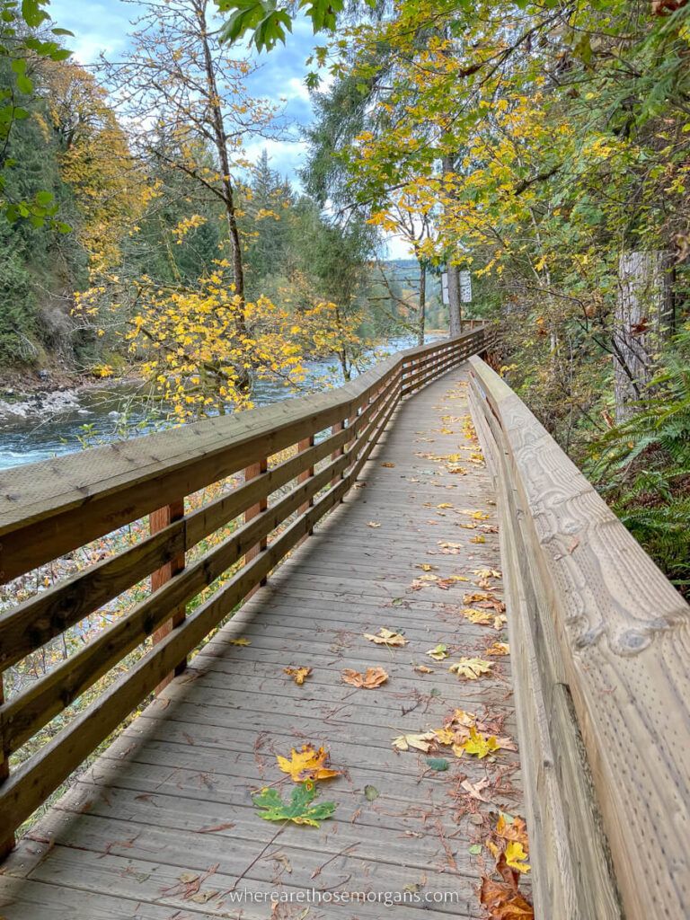 Long and narrow wooden footbridge over a river with colorful leaves on the ground