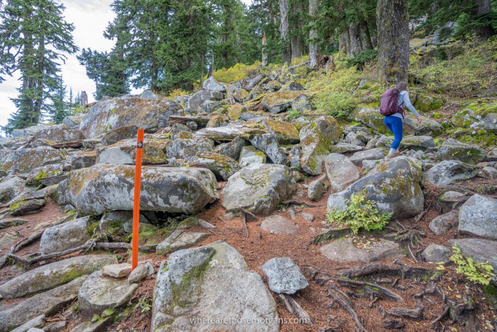 Orange marker pole signalling direction on a hike in Washington