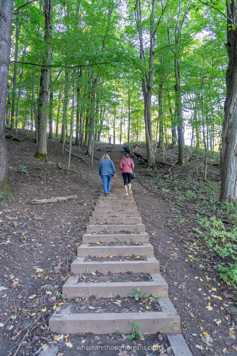 Women walking up a wooden staircase at Chimney Bluffs State Park