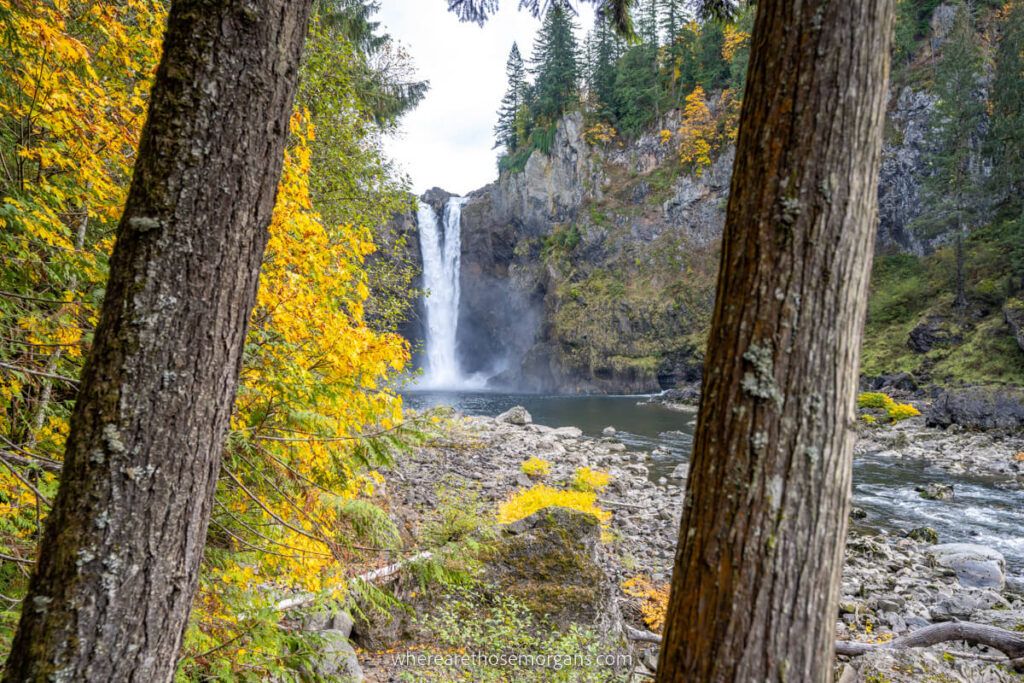 Distant waterfall through two narrow tree trunks and yellow leaves