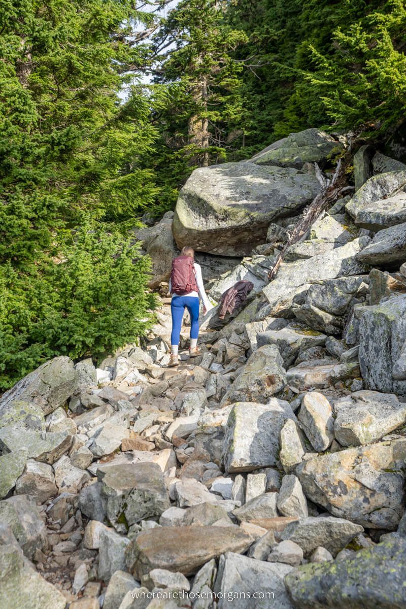 Hiker climbing small boulders into emerald green trees