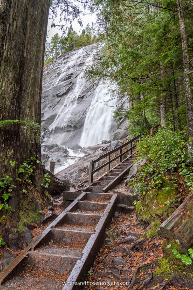 Bridal Veil Falls in Washington through a gap between tree leaves and trunk with wooden steps