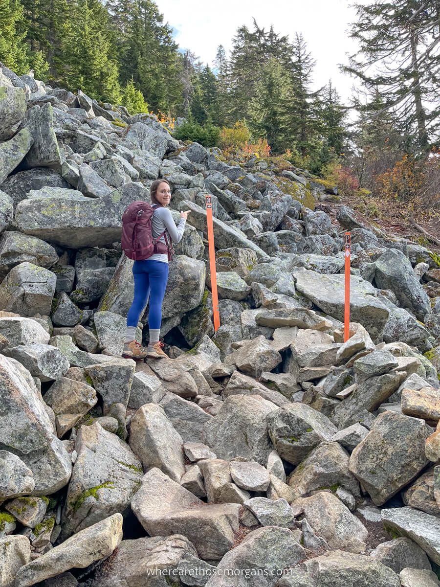 Orange poles marking switchback on Mt Pilchuck hiking trail